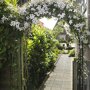Nature rozenboog begroeid met klimplanten